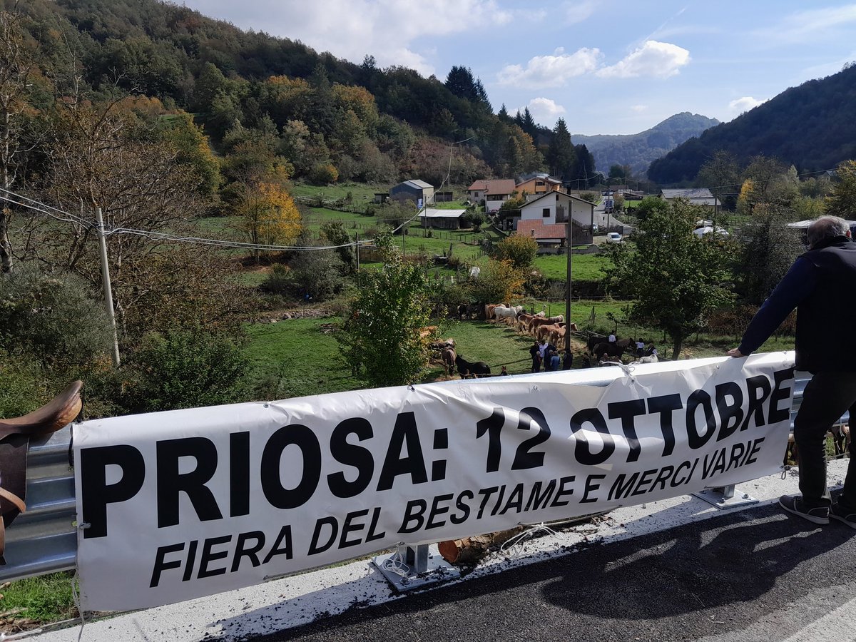 PARCO_AVETO's tweet photo. Dopo una breve assenza, tornano le bestie alla tradizionale fiera del bestiame e delle merci varie del 12 ottobre di Priosa! 💪👏🐂🐄🐴L'allevamento e la produzione di latte e formaggi sono ancora realtà vitali nelle @ValliParcoAveto! #cambiovia @pc_maritime 🌱🌾🐮🥛🧀 https://t.co/JGWmnwYC1j