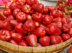 thutuyen002's tweet photo. The current world market is dominated by the cultivar 'Tommy Atkins', a seedling of 'Haden' that first fruited in 1940 in southern Florida and was initially rejected commercially by Florida researchers https://t.co/t135CT103Y