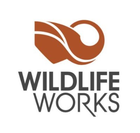 Jonathan Kiaku (@jonathankiaku22) on Twitter photo Using the emerging carbon offset marketplace to protect threatened forests and endangered wildlife, while funding indigenous and forest-dwelling communities, is one of nature conservation's greatest assets.
Merci à <a href="/WildlifeWorks/">Wildlife Works</a> pour cette œuvre salvatrice🔥 Using the emerging carbon offset marketplace to protect threatened forests and endangered wildlife, while funding indigenous and forest-dwelling communities, is one of nature conservation's greatest assets.
Merci à <a href="/WildlifeWorks/">Wildlife Works</a> pour cette œuvre salvatrice🔥