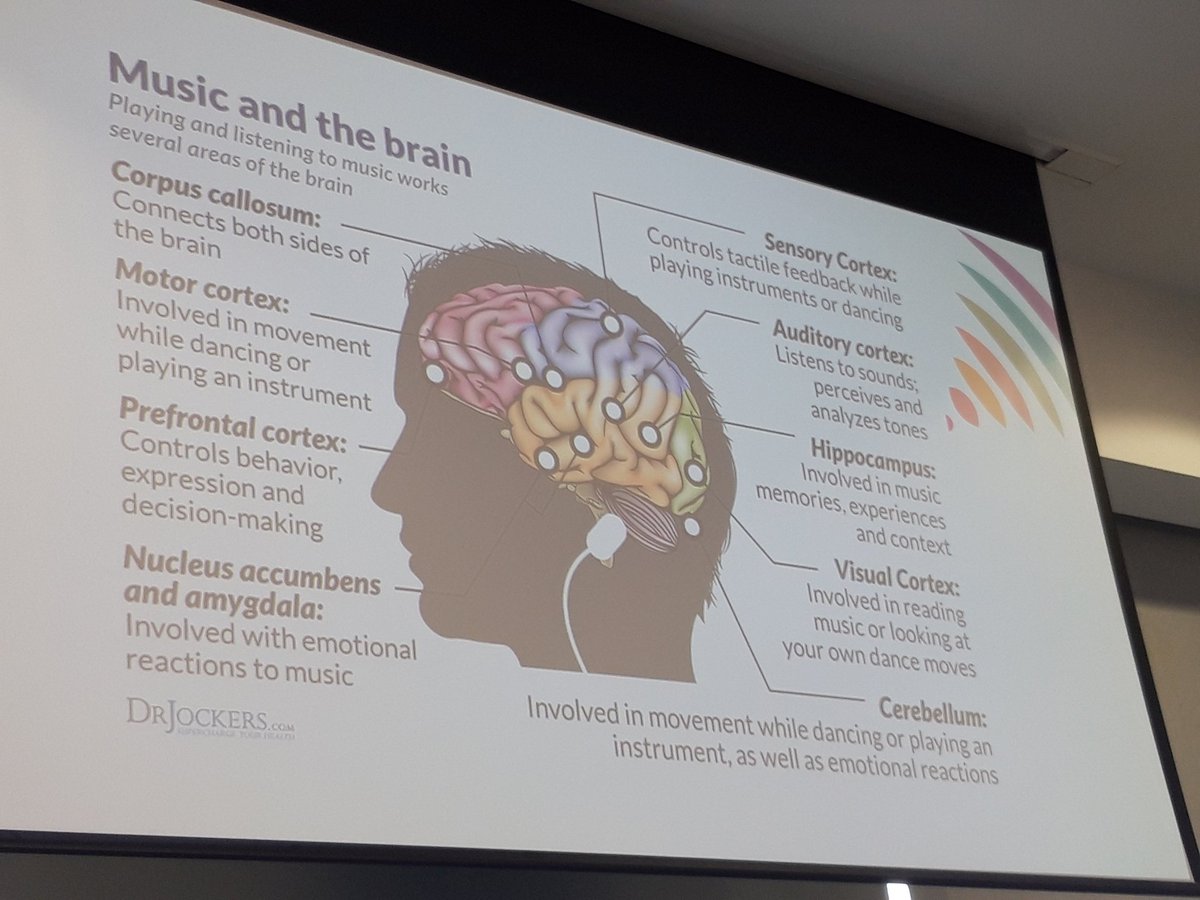 GMNISDN's tweet photo. Nuala and Roz share how music therapy is helping their #neurorehab patients @InruTrafford @ChilternMusic #GMNISDNConf22 https://t.co/n8cFCxJdVz