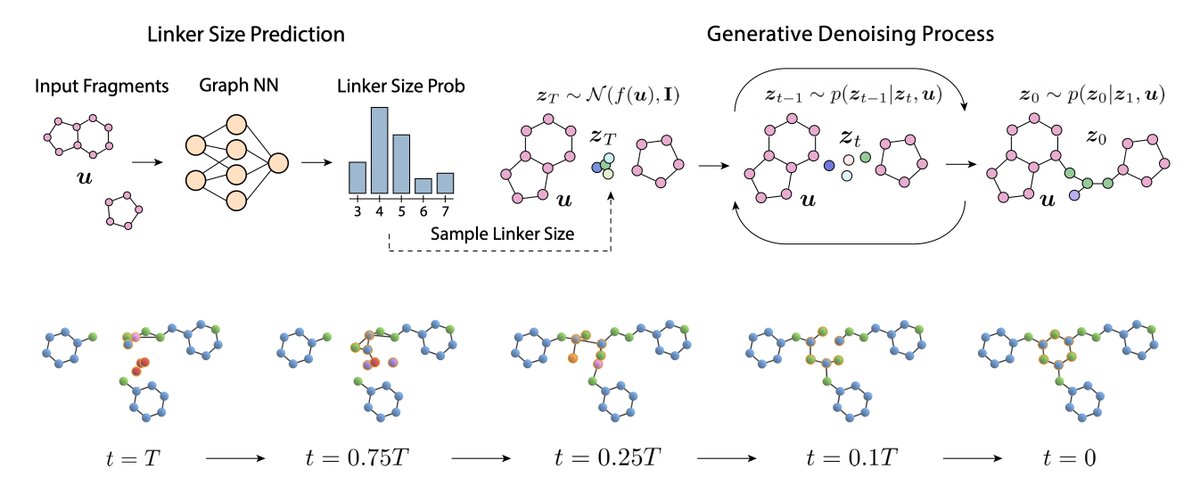 Excited to share our new paper! ✨ Equivariant 3D-Conditional Diffusion Models for Molecular Linker Design arxiv.org/abs/2210.05274 See the thread 🧵