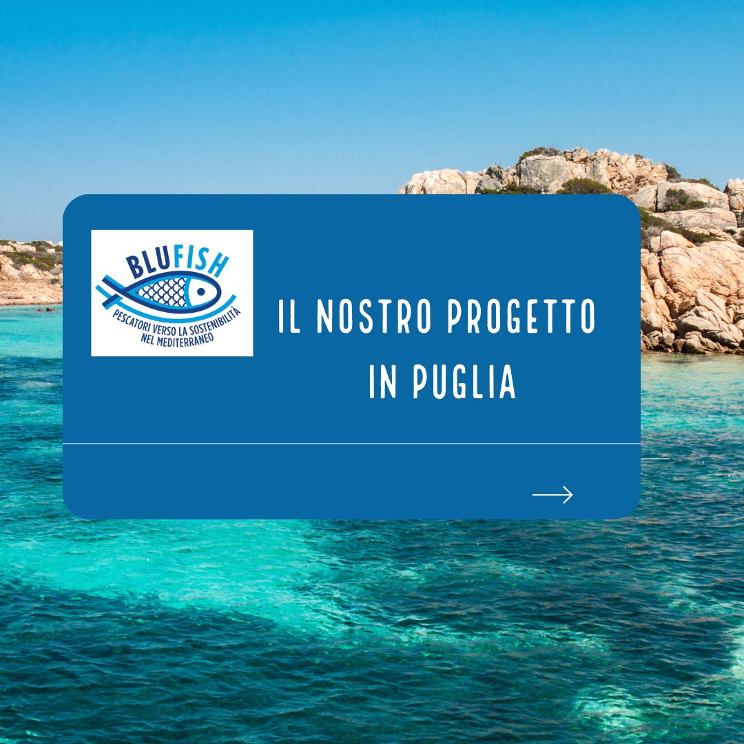 MSCinItalia's tweet image. Il Progetto #BluFish ha "gettato l'ancora" anche nel Mar Adriatico Meridionale per occuparsi della pesca del gambero rosa al fianco di alcune associazioni di pescatori in Puglia. Scorri per saperne di più e clicca qui per le ultime novità: bit.ly/3RV6zlv