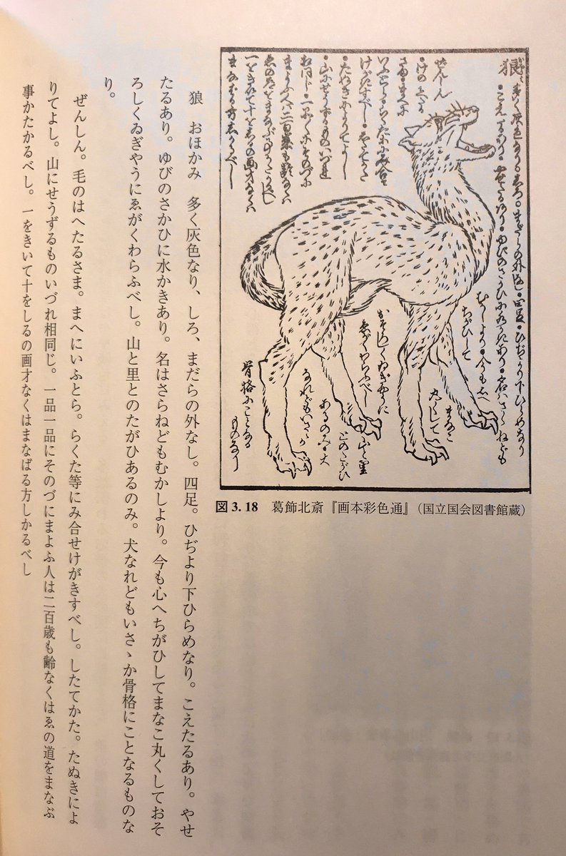 葛飾北斎の描くニホンオオカミ 。 山に生ずる動物は皆同じ、一々その