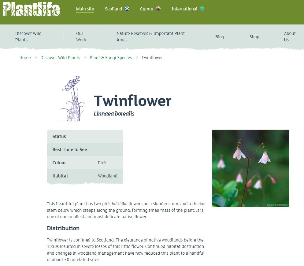 BuzzingScotland's tweet photo. This morning I attended a #FallintoNature webinar from our friends at @PlantlifeScot, all about how volunteers in @CairngormsNP are helping to conserve the beautiful & rare twinflower. What a fantastic & inspiring conservation-minded community we have here in the Cairngorms! https://t.co/NoFe39JQjk
