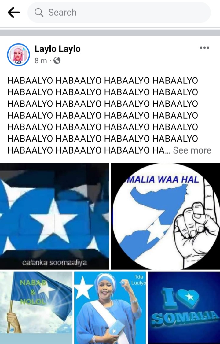 Laylo Laylo (@layllaylo) on Twitter photo 