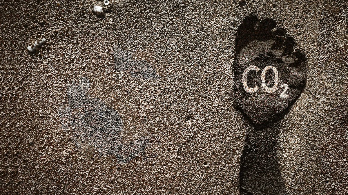 We saved 5.79 tonnes of CO2 in September. 

We’ve made significant steps over the last two years to ensure we lower our carbon footprint.

#CSR #Carbonfootprint #CO2