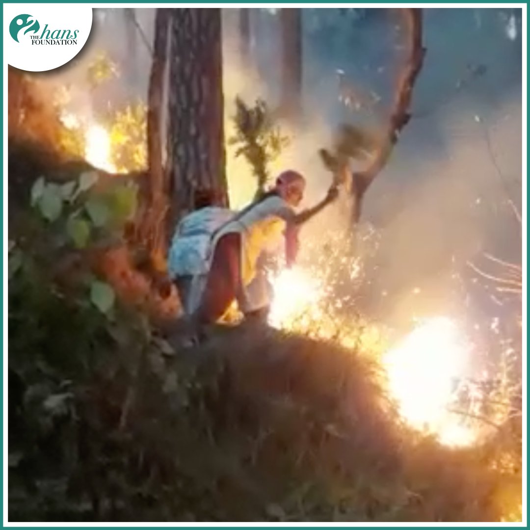 THF_INDIA's tweet photo. Witnessing the rampant forest fires in Uttarakhand, #THF decentralized its approach to protecting the forests by empowering locals to take responsibility for their forests.
#InternationalDayforDisasterReduction #forestfirefighter #disasterpreparedness https://t.co/CejQA9zfqE