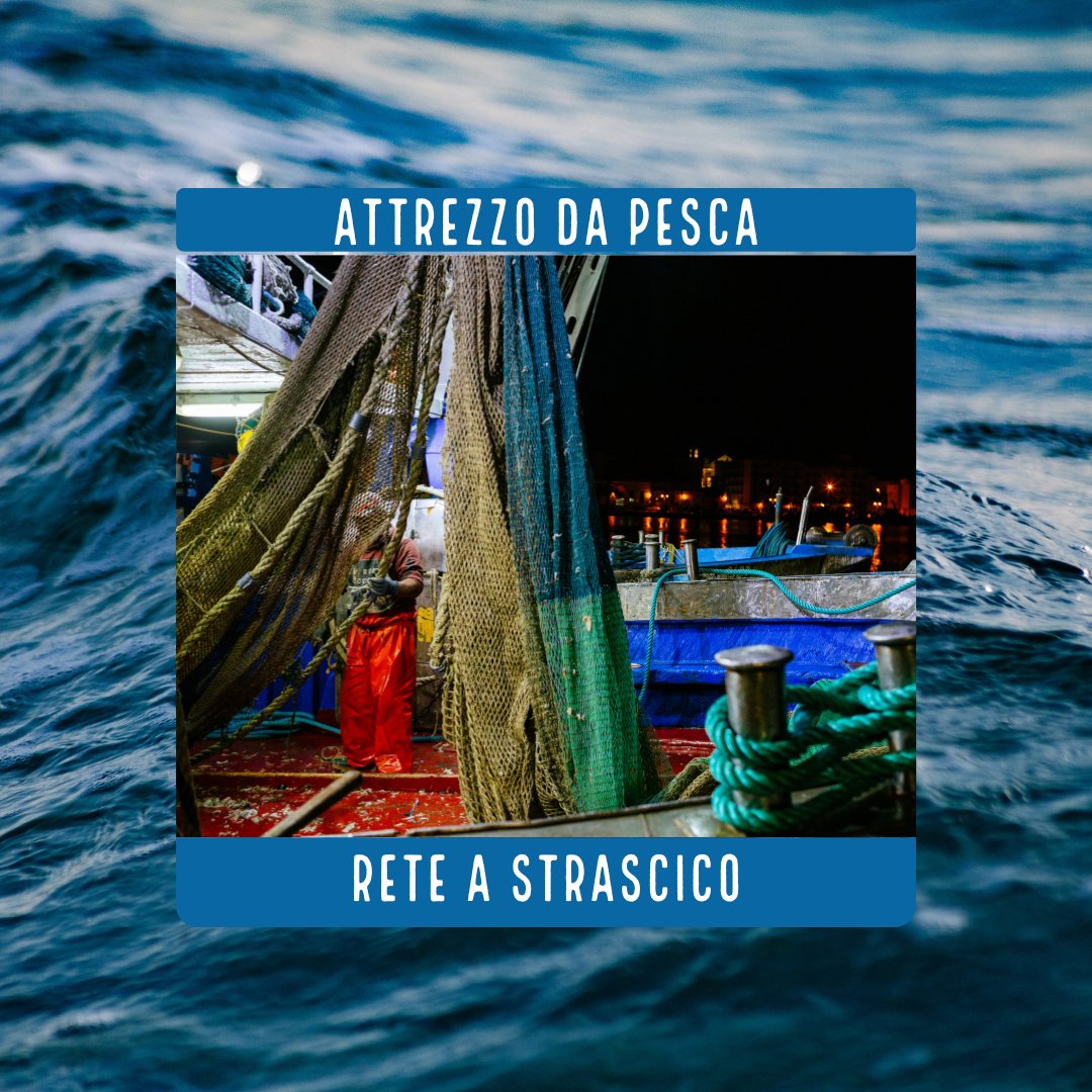 MSCinItalia's tweet image. Il Progetto #BluFish ha "gettato l'ancora" anche nel Mar Adriatico Meridionale per occuparsi della pesca del gambero rosa al fianco di alcune associazioni di pescatori in Puglia. Scorri per saperne di più e clicca qui per le ultime novità: bit.ly/3RV6zlv