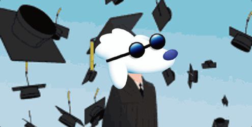 crptomaro's tweet photo. $POODL academy both educates and develops.
#BinanceSmartChain #Metaverse #binance #BSC #Gems #BNBChain #PoodleFi #gaming #Bitcoin #kucoincom #Gateio https://t.co/5TMP0asgTX
