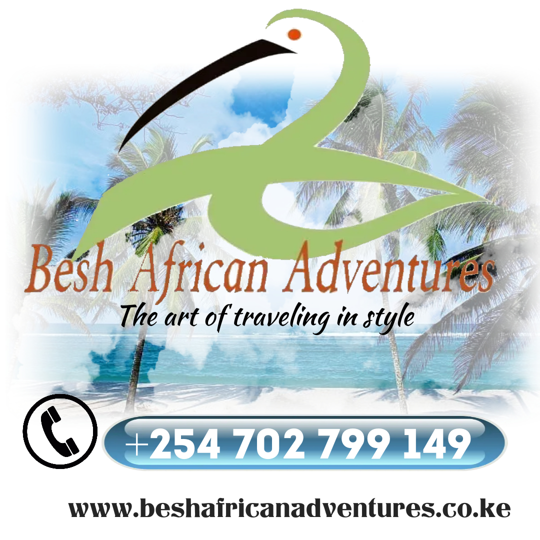 BeshAdventures's tweet photo. we are your travel solution.
#Magicalkenya #travelsolution #trevorombija #nkatha https://t.co/xtzaKS92r1