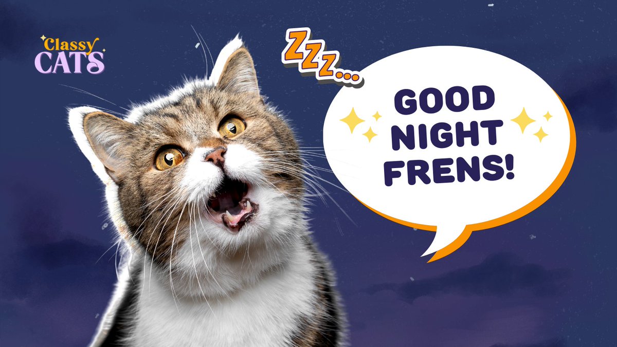 ClassyCats_io's tweet photo. Good night #NFTFam
We're gonna reveal something very soon... watch out! 🙊🙀
#ClassyCats #catsofNFT #NFT https://t.co/xuUUgHw0dI