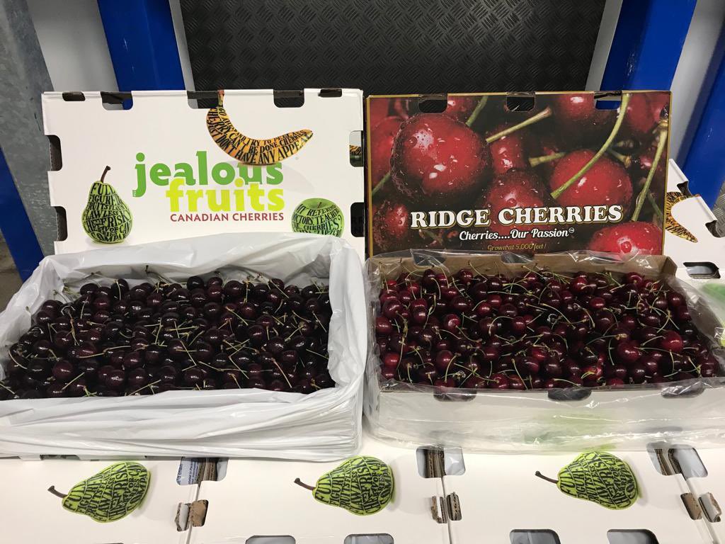 JOSimsCherries's tweet photo. Savanna Ridge meets Cherry Ridge 🍒 🍒 Ending our NH season with our own farm in Canada🇨🇦 and moving straight through to our SH season with our own farm in South Africa🇿🇦. Great to see these side by side in our UK warehouse! #NorthmeetsSouth #Cherries https://t.co/Y9iOMdnrxr