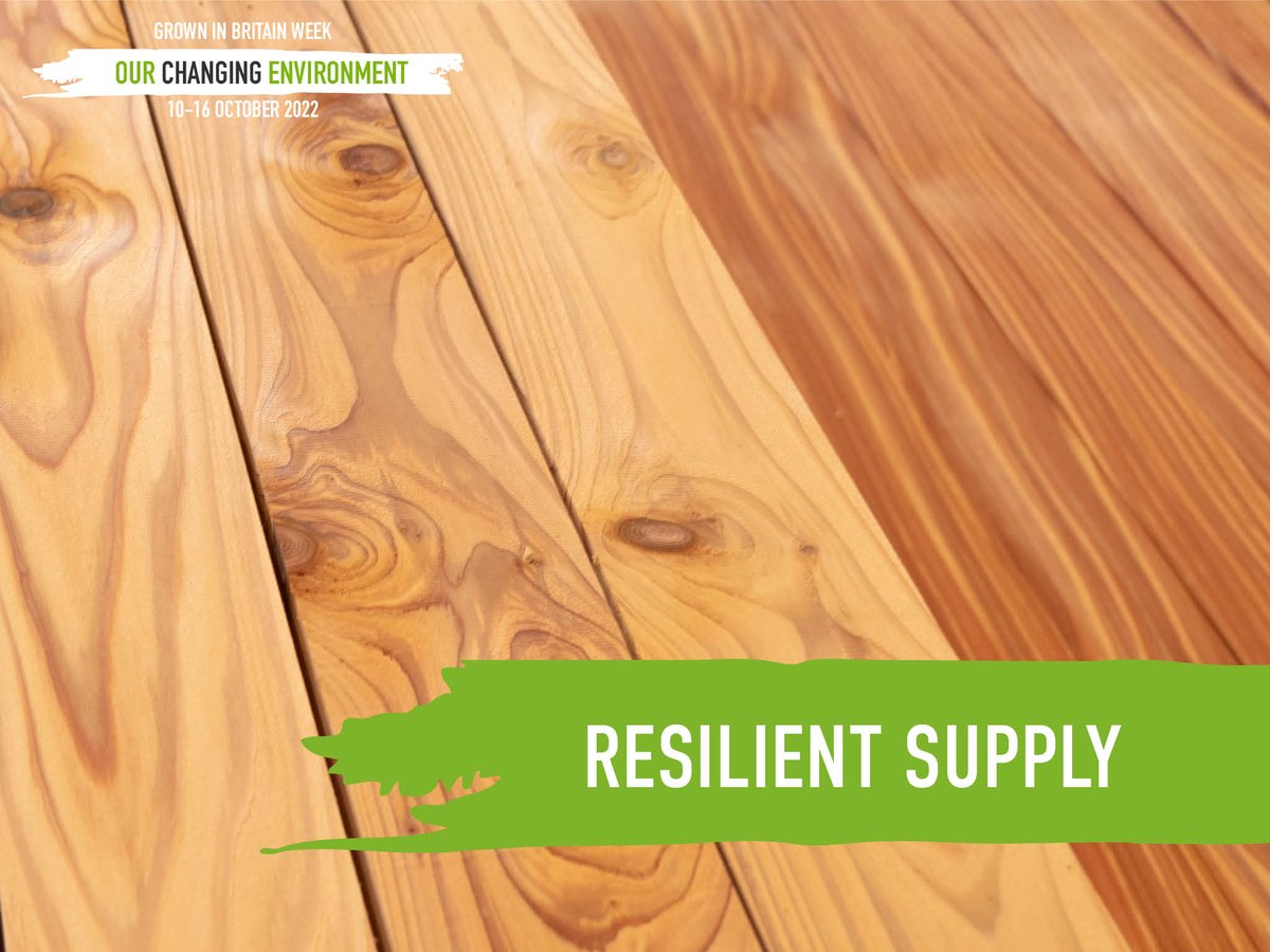 GrowninBritain's tweet photo. Through innovative R&amp;D with industry partners we're building resilient supply chains to keep UK timber industry thriving.
Guiding the creation &amp; management of healthy, resilient forests, we're growing sustainable stocks of British timber for generations to come.
#GiBWeek2022 https://t.co/vCia21dBpz