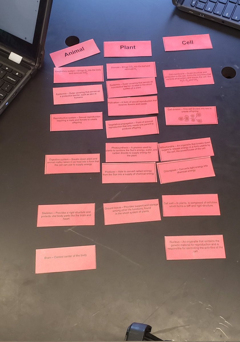 Michael Stagg tweet media