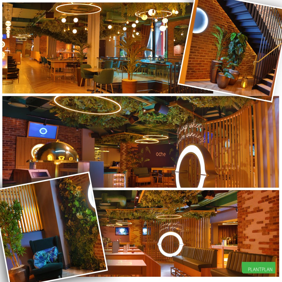 🟩 Project Highlight 🟩

#restaurantdesign #architecture #interiordesign #biophilia #biophilicdesign #designinspiration #ideas #workspacedesign