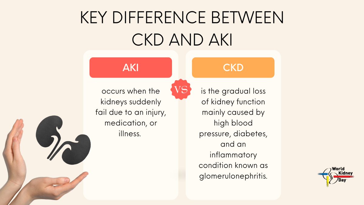 worldkidneyday's tweet photo. AKI and CKD differ in several key ways. With AKI, everything occurs suddenly and sometimes severely. With CKD, everything progresses gradually. Get your kidney function checked regularly! #WorldKidneyDay https://t.co/dWV5xyBzt7