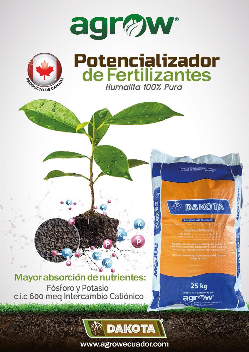 AgrowECU's tweet photo. Ideal para mezcla con Fertilizante Edafico, maximiza su asimilación. DAKOTA es un producto Canadiense de alta capacidad de intercambio catiónico. 🇨🇦 #humalite #canada @USDA @AgriculturaEc @magap_ec @aebeecuador @acorbanec @bananaexport @ExpofloresEc https://t.co/IPXXp5cXcq