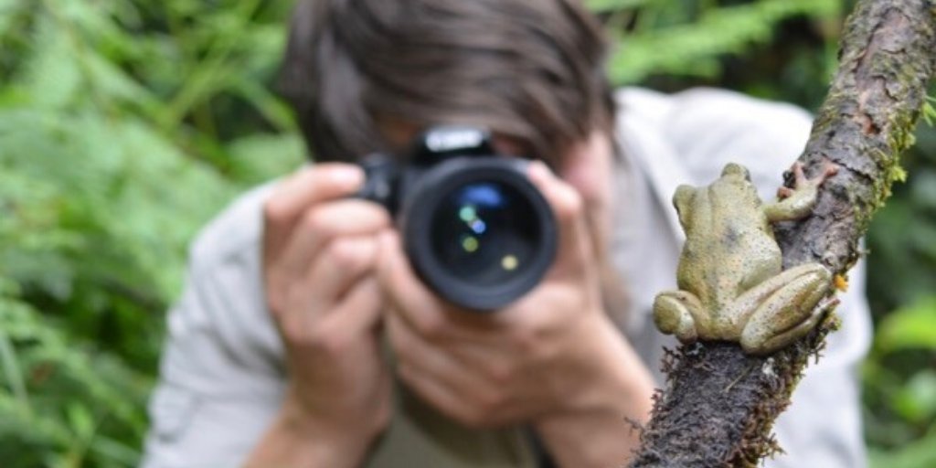 exploreindigo's tweet photo. Our expeditions are designed for wildlife enthusiasts who wish to explore the less travelled road. #indigoexpeditions #indigoherpers #connectwithnature #guatemala #cloudforestconservation Find out more -> Indigo Expeditions https://t.co/ohgipCHkqs https://t.co/3AeVk35MCR