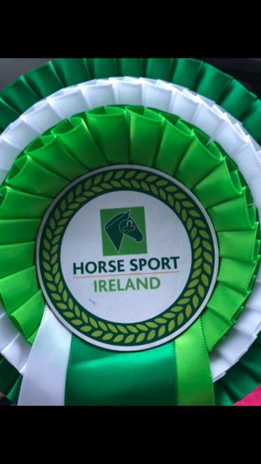 ScoilRuain's tweet photo. Tamara Perry finished 2nd for Scoil Ruáin in Mulligan Equestrian Centre in the biggest class The Horse Sport Ireland 110cm on 9th October, also qualifying for the interschools final to be held next year on her horse Hilton DC 👏👏@TipperaryETB @Tippmanjw #etbexcellenceineducation https://t.co/t5RLIS02EE