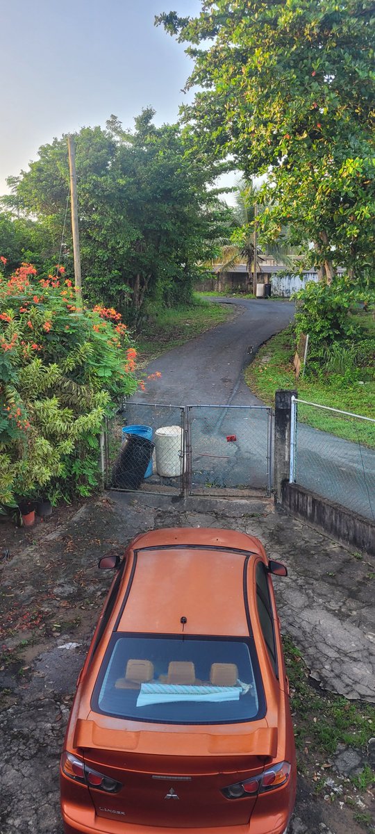 unread_me's tweet photo. @ToaBajaOficial Si peroientras unosnlimpiam otros ensucian. Miren como dejaron la basura en mi casa https://t.co/4kUH9xs47b