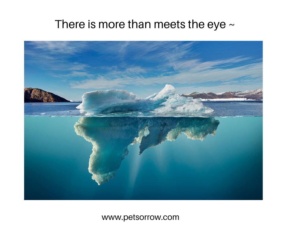 What we see on the surface is only a fractional part of what is really going on inside of us 🦋

#petlossgrief #healingsolutionsforpetloss #griefandloss