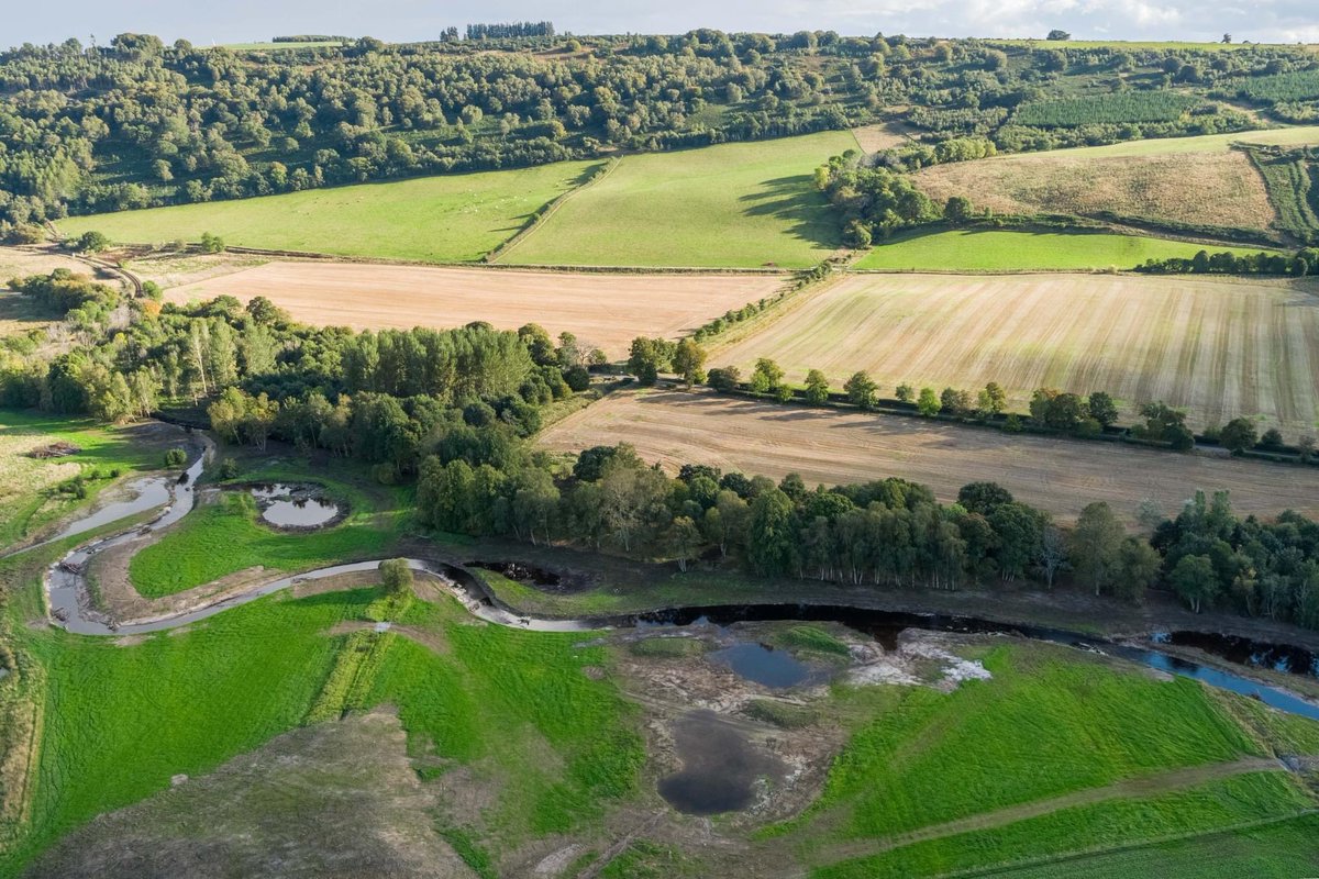 River restoration projects across Scotland are picking up pace. The story of the River Peffery re-meandering will be told alongside a screening of the #Riverwoods documentary in Dingwall on 26 October. 🎟️ bit.ly/3ytlQ6f