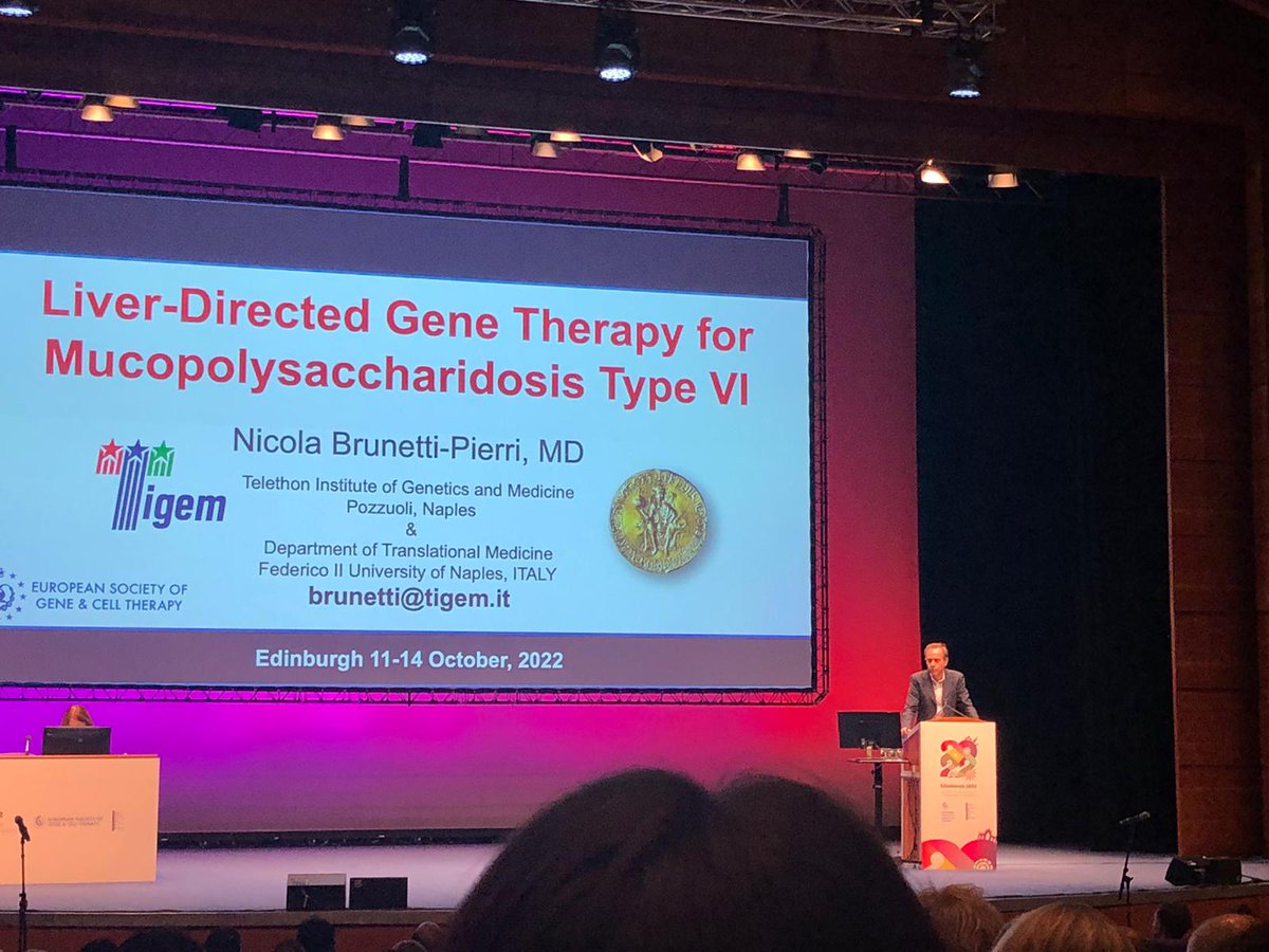 Pas_Piccolo's tweet photo. Great talk by Nicola @brunetti_pierri  from @Tigem_Telethon during @ESGCT 2022 pleanary session on clinical trials presenting results from phase I/II study on liver-directed gene therapy for mucopolysaccharidosis type VI #GeneTherapy #AAV #MPSVI https://t.co/OS4YJ1ZwwF