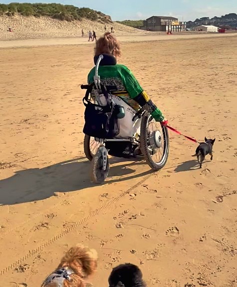 Trekinetic tweet media