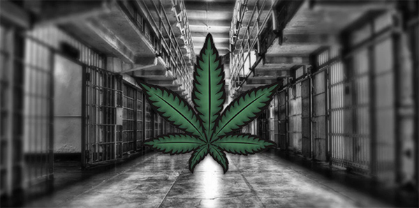 weedsupermarket's tweet photo. LEGALISING CANNABIS UK – WHEN WILL WEED BE LEGAL IN THE UNITED KINGDOM? https://t.co/ueXcrW5jKF  #legaliseweed https://t.co/WVJbUoBA8Y
