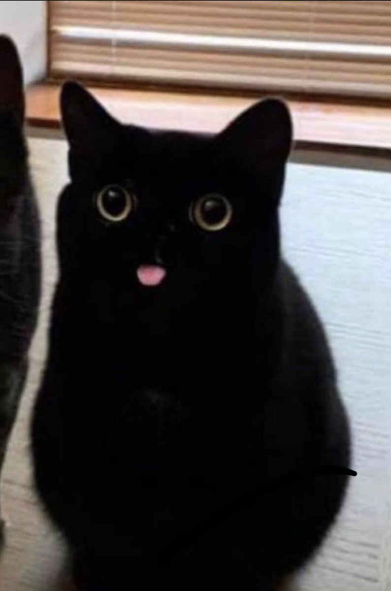 kapebeansies's tweet photo. https://t.co/b3CzWCGKYr