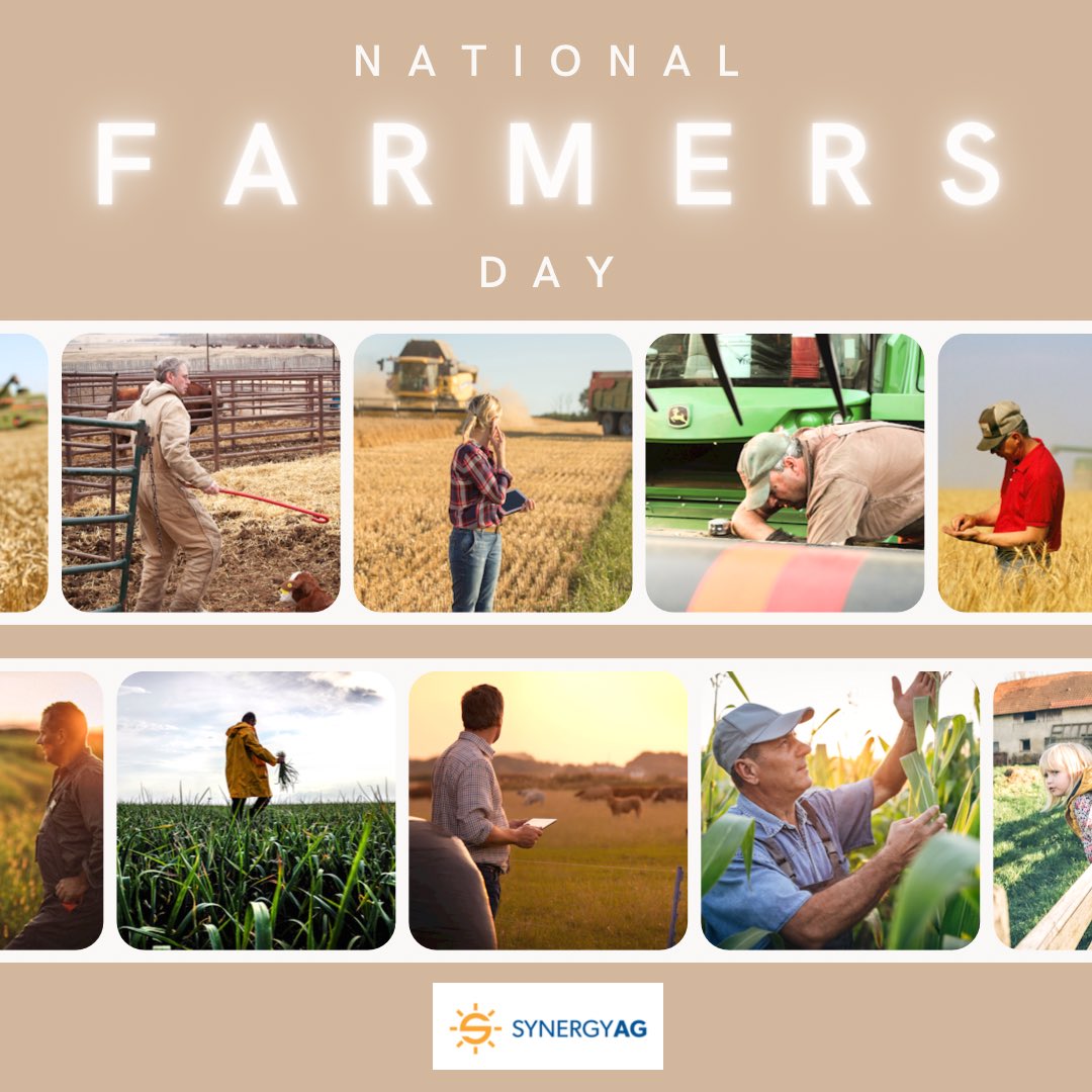 SynergyAG Provost (@synergyagprovst) on Twitter photo #NationalFarmersDay 
We truly believe that one day isn’t enough to acknowledge and celebrate our farmers. No matter how big the job, #cdnag farmers get it done.
We see you and appreciate you, thank you❤️🌾 
#rootsyoucancounton #thankafarmer #nofarmernofood #NationalFarmersDay 
We truly believe that one day isn’t enough to acknowledge and celebrate our farmers. No matter how big the job, #cdnag farmers get it done.
We see you and appreciate you, thank you❤️🌾 
#rootsyoucancounton #thankafarmer #nofarmernofood