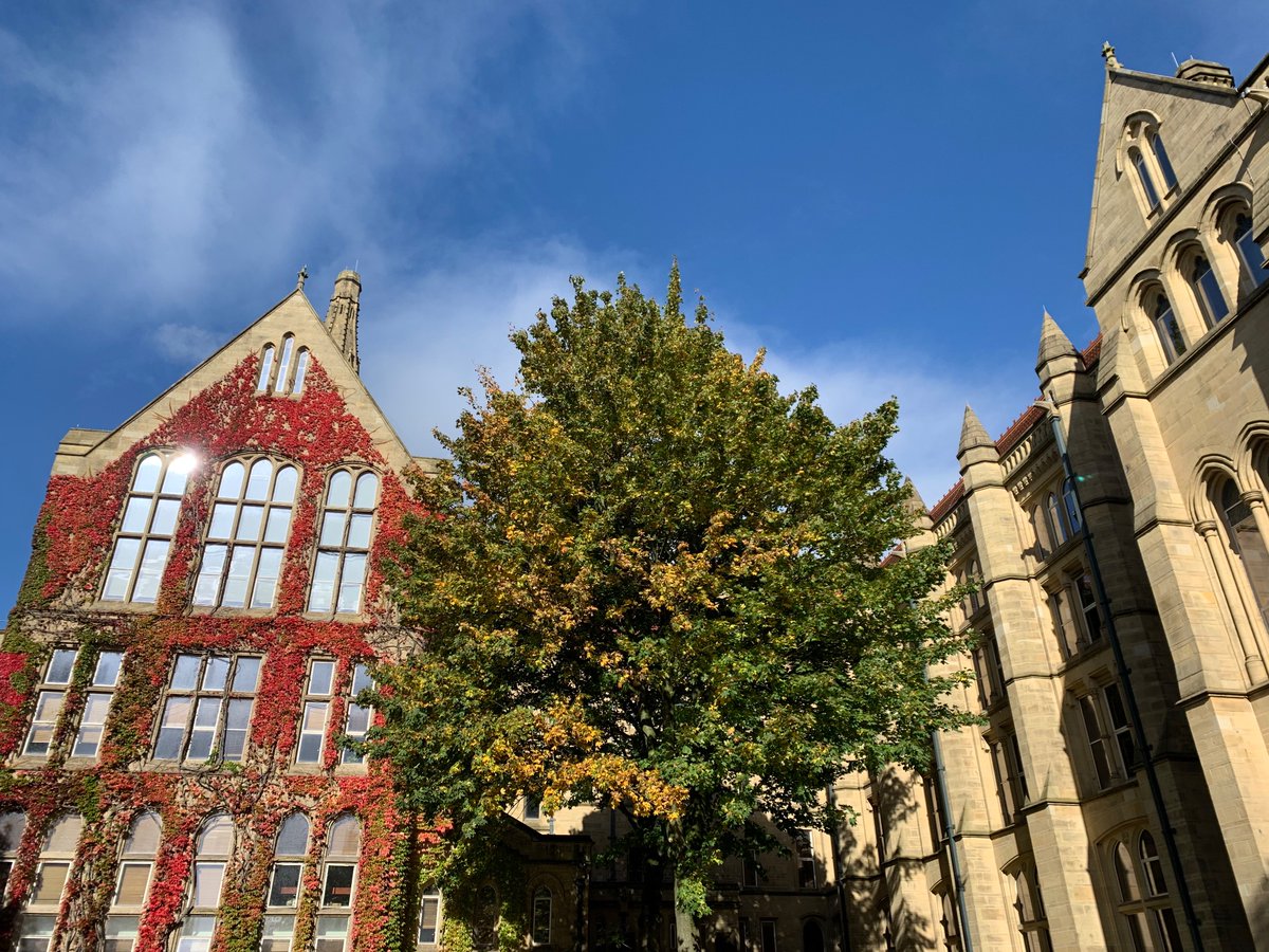 Sofie Aminoff tweet media