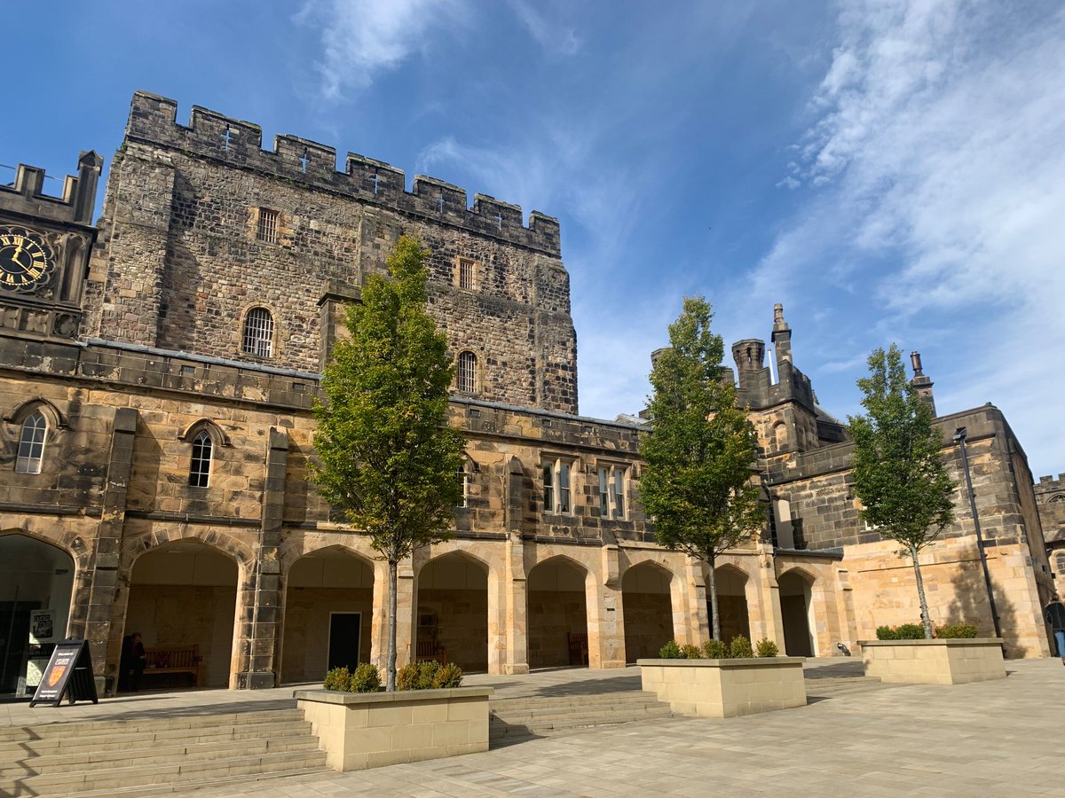 Sofie Aminoff tweet media