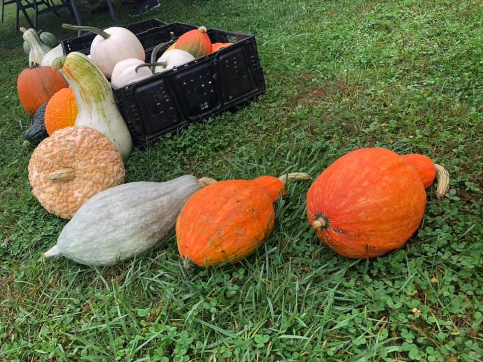 danvilleky's tweet photo. Saturday, Oct. 15, 9 am-noon, is the last Boyle Co. #farmersmarket at Constitution Square for 2022. Spend your morning there before heading to the annual Forkland Festival.
Find out about these and other upcoming events here - https://t.co/6969qsYbKO
#danvìlleky #festival #travel https://t.co/7CIwNQGuQL