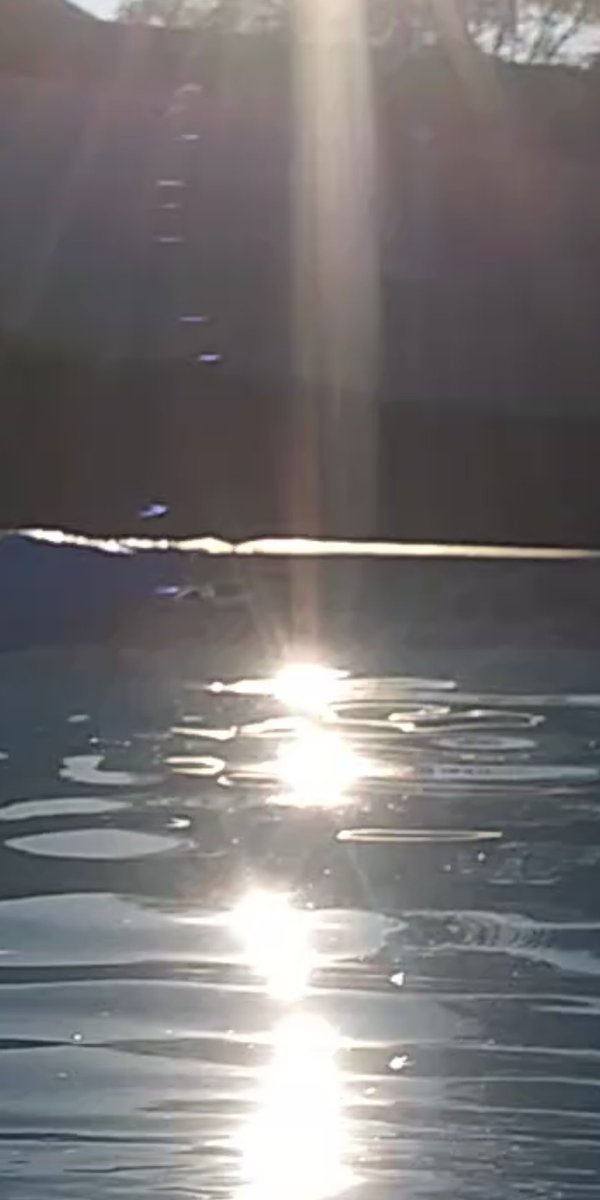 AlienLyte's tweet photo. #alienlight is life love. Evidence DNA spiraling out of. Humans trillions of voltage energy right now. Transmitting and receiving signal Cosmic alien light images internal connection cymatics frequency vibration electric energy inside. Ascension critical are you awake? Love https://t.co/imk2C6Xi5N