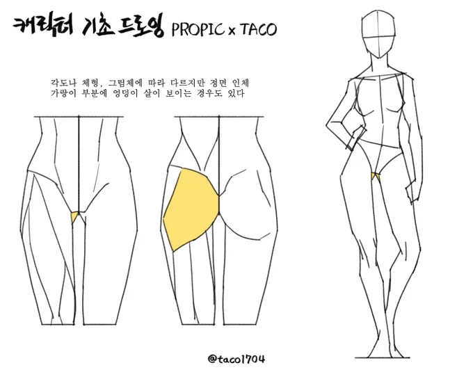 각도나 체형, 그림체 표현에 따라 다르지만 
정면 인체 가랑이 부분에 엉덩이 살이 보이는 경우도 있다 