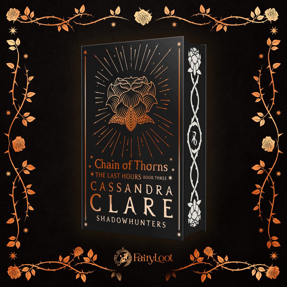 FairyLoot's tweet photo. We are so thrilled to present to you the… ‘Chain of Thorns’ Exclusive Edition, brought to you in collaboration with @cassieclare and @WalkerBooksYA! https://t.co/eZ6YKv2xPf