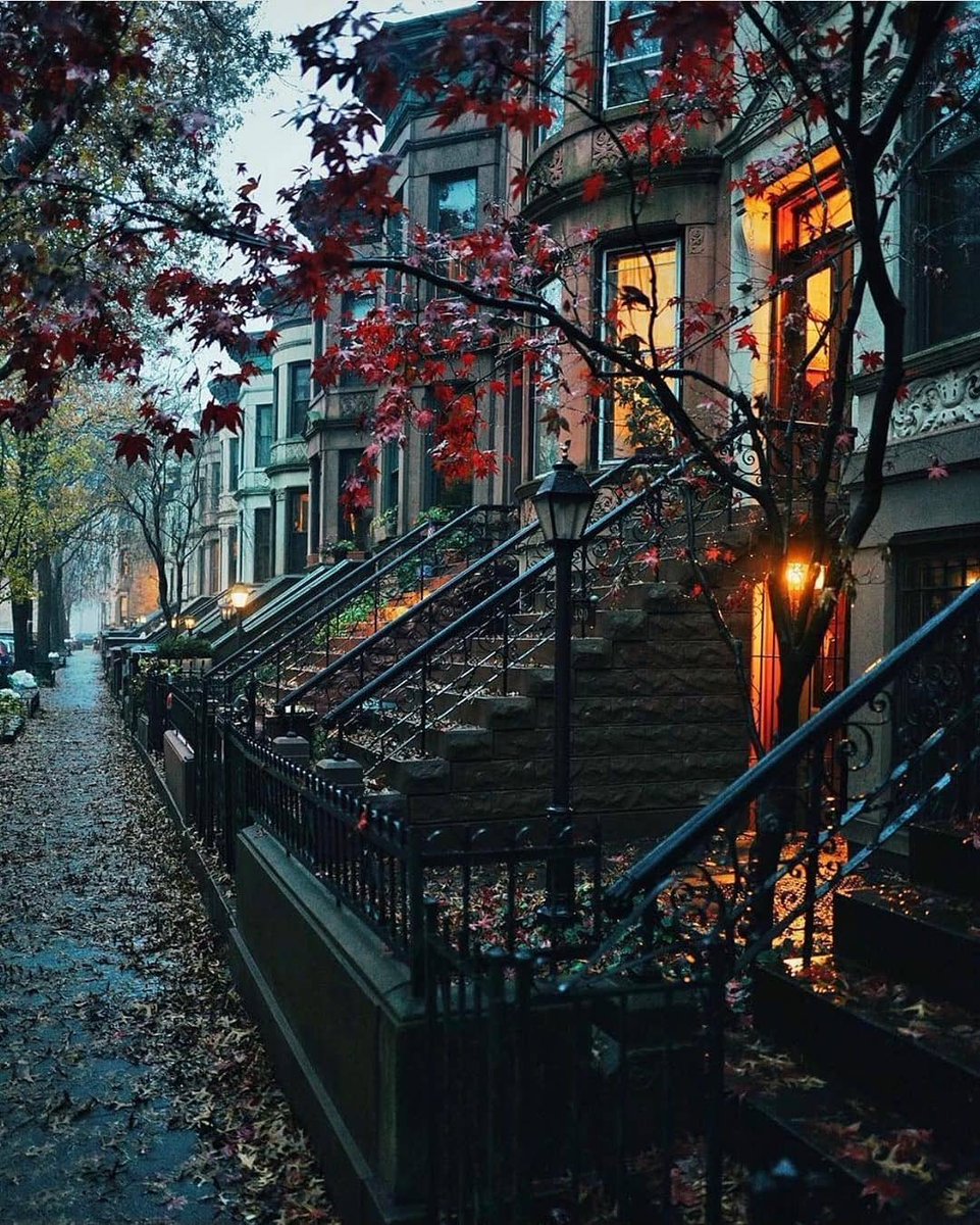 JamesLucasIT's tweet photo. Autunno a New York
📷 Sam Horine https://t.co/neZFGukQyY