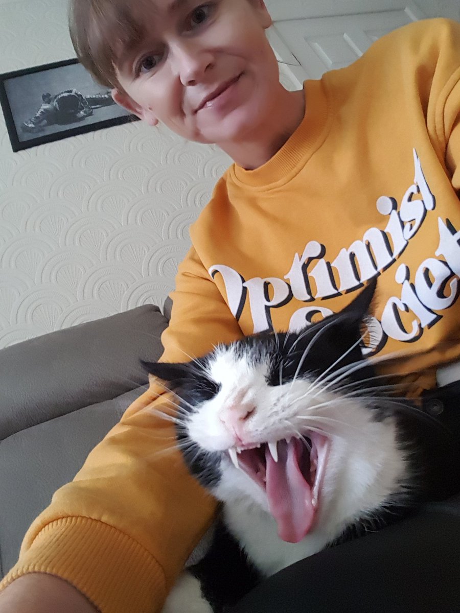 CaraDaveHamlet's tweet photo. Mumma, why we have to do dis every morning? Da same dance, yoo coms in, I shoutings at yoo til yoo sittings down to gimme dem loves & scratches & den da bleedin phone comings out. NUFF NOW 😾😭 #CatsOfTwitter #CatsOnTwitter #cats #LeaveMeLone #Optomist #WhiskersWednesday https://t.co/yAc69aMIzR
