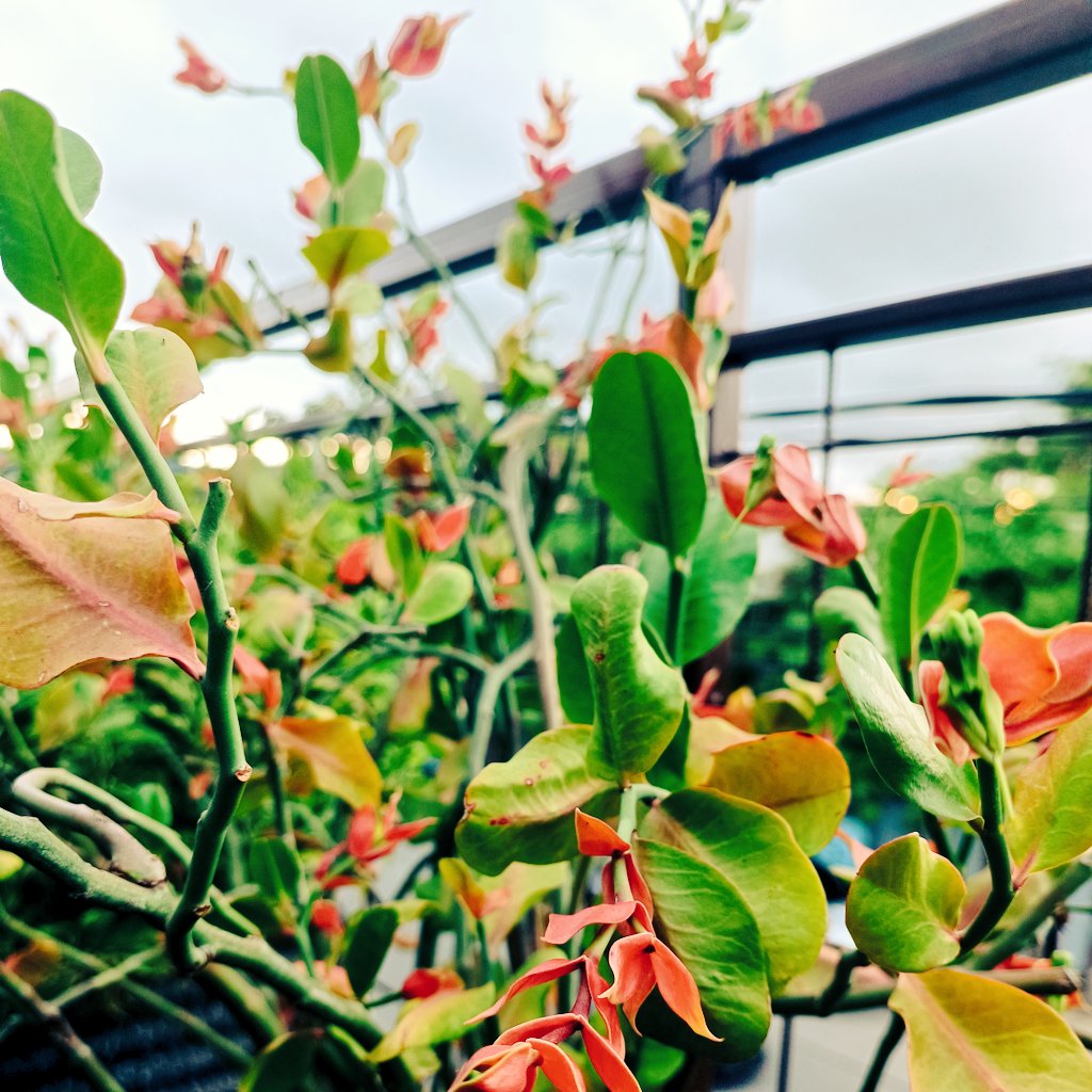 abdod7fry's tweet photo. Orang yang di benci tidak akan merasakan kesedihan yang dalam,Sedangkan orang yang membenci akan kehilangan banyak kebahagian https://t.co/CaIzbSHDFm