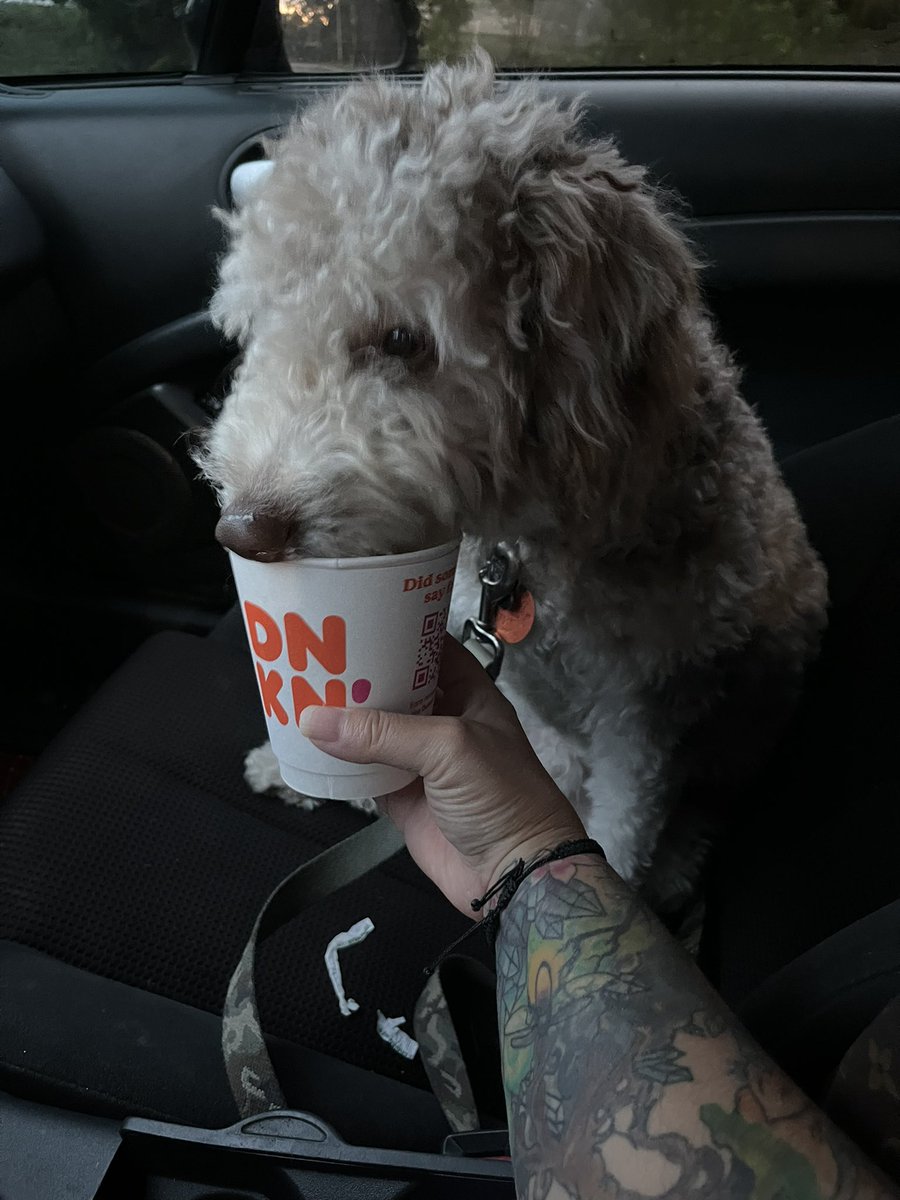 rrhoneybee's tweet photo. #americarunsondunkin #Dunkin https://t.co/CrnnwDO0TU