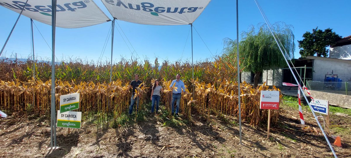 syngentaPT's tweet photo. Hoje participamos na 1ª Expo Agribar - Feira de Campo do Norte, na Cooperativa Agrícola de Barcelos.
👀🌽Venha ver o nosso campo demonstrativo com o #milho SY Carioca, limpo de infestantes com o herbicida #Camix, e conheça o #Heliosec, sistema de tratamento de restos de caldas. https://t.co/S6AhaOi6cO