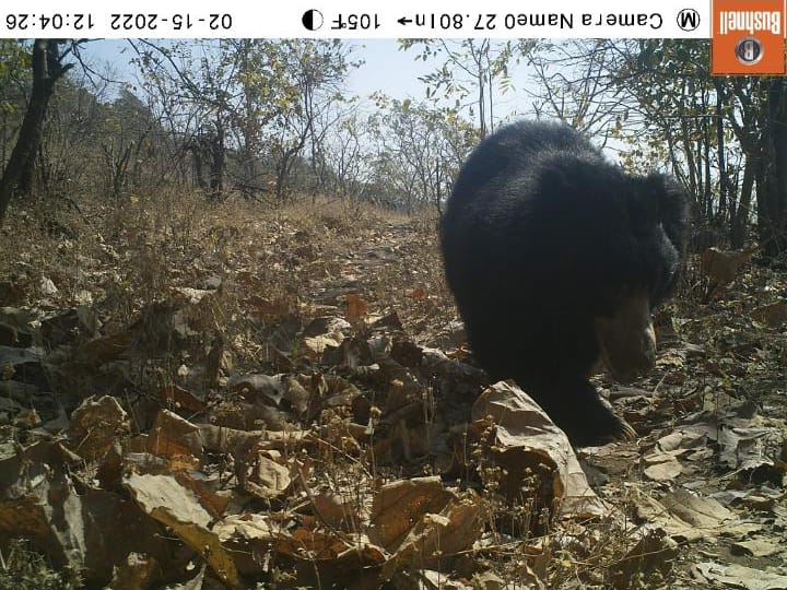 DCFNARMADA tweet media