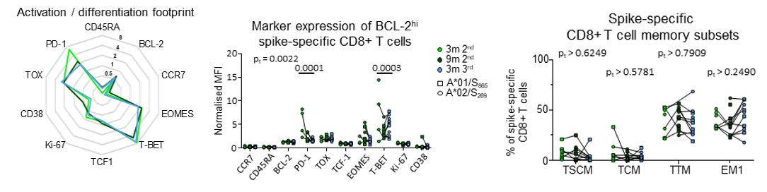 TEXIMMED2- Freiburg Labs tweet media