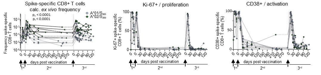 TEXIMMED2- Freiburg Labs tweet media