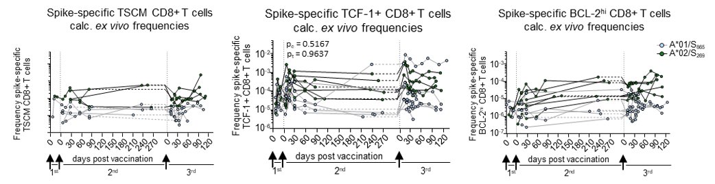 TEXIMMED2- Freiburg Labs tweet media