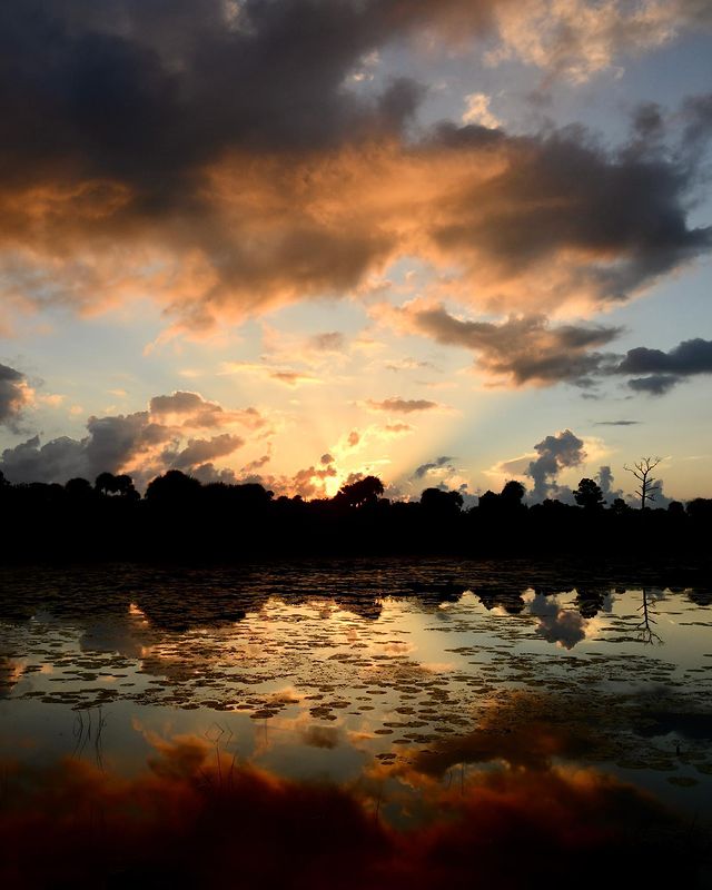 FLStateParksFdn's tweet photo. Early bird gets the worm!
IG: @pkstflorida
At Jonathan Dickinson State Park
#FloridaStateParks #FloridaStateParksFoundation #ExploreFLParks #TheRealFlorida #UnlockFlorida #ExploreFlorida #Sunrise https://t.co/2zsCOF1E3h