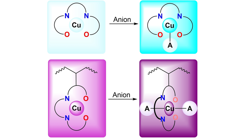 Enhanced Host-Guest Association and Fluorescence in Copolymers from Copper Salphen Complexes by Supramolecular Internalization of Anions (G. Zelada-Guillen, M. V. Esacarcega-Bobadilla et al.) <a href="/SupraNano/">The Supra And Nano Lab</a> <a href="/quimica_unam/">Facultad de Química UNAM</a> <a href="/UNAM_MX/">UNAM</a>
 onlinelibrary.wiley.com/doi/10.1002/cp…