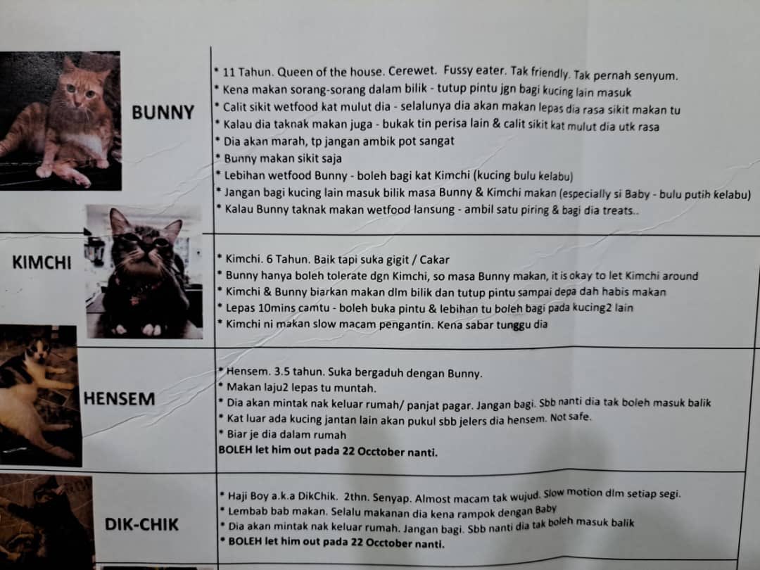 ftnnssr's tweet photo. See how my client provides me the details of her cats 😆 https://t.co/Uzr49g29Oj
