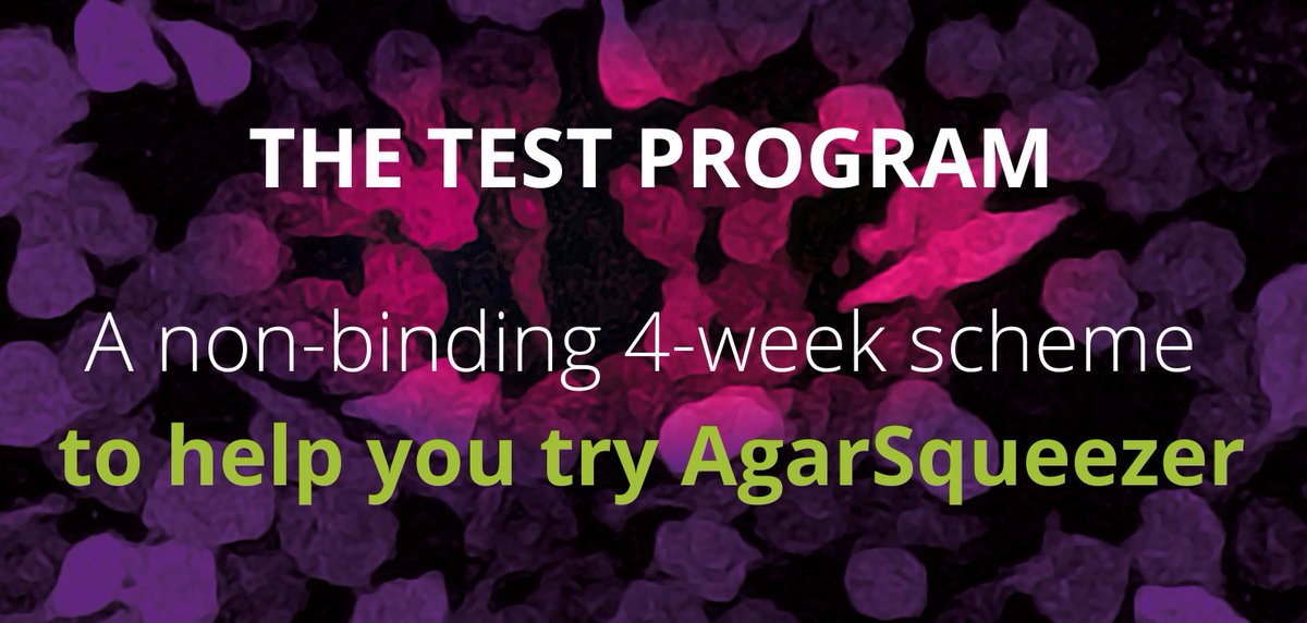 IdylleLabs's tweet photo. #AGARSQUEEZER - The 1st campaign of the Test Program is launched 🚀
Info & registrations👉 https://t.co/bN1mocaCdU
@CharlottRiviere @MaguerSattaLab @crcl @iLM_RECHERCHE #mechanobiology #cancerCell #fibrosis #TechTransfer #CancerCellResearch #imaging #physiologicalConditions https://t.co/TfGc3TjOp8